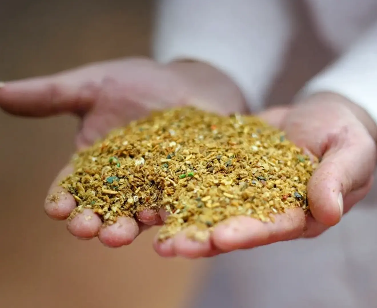 Hands holding meat and bone meal feed as a protein source for livestock nutrition