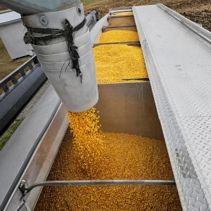 Loading livestock feed from a delivery truck