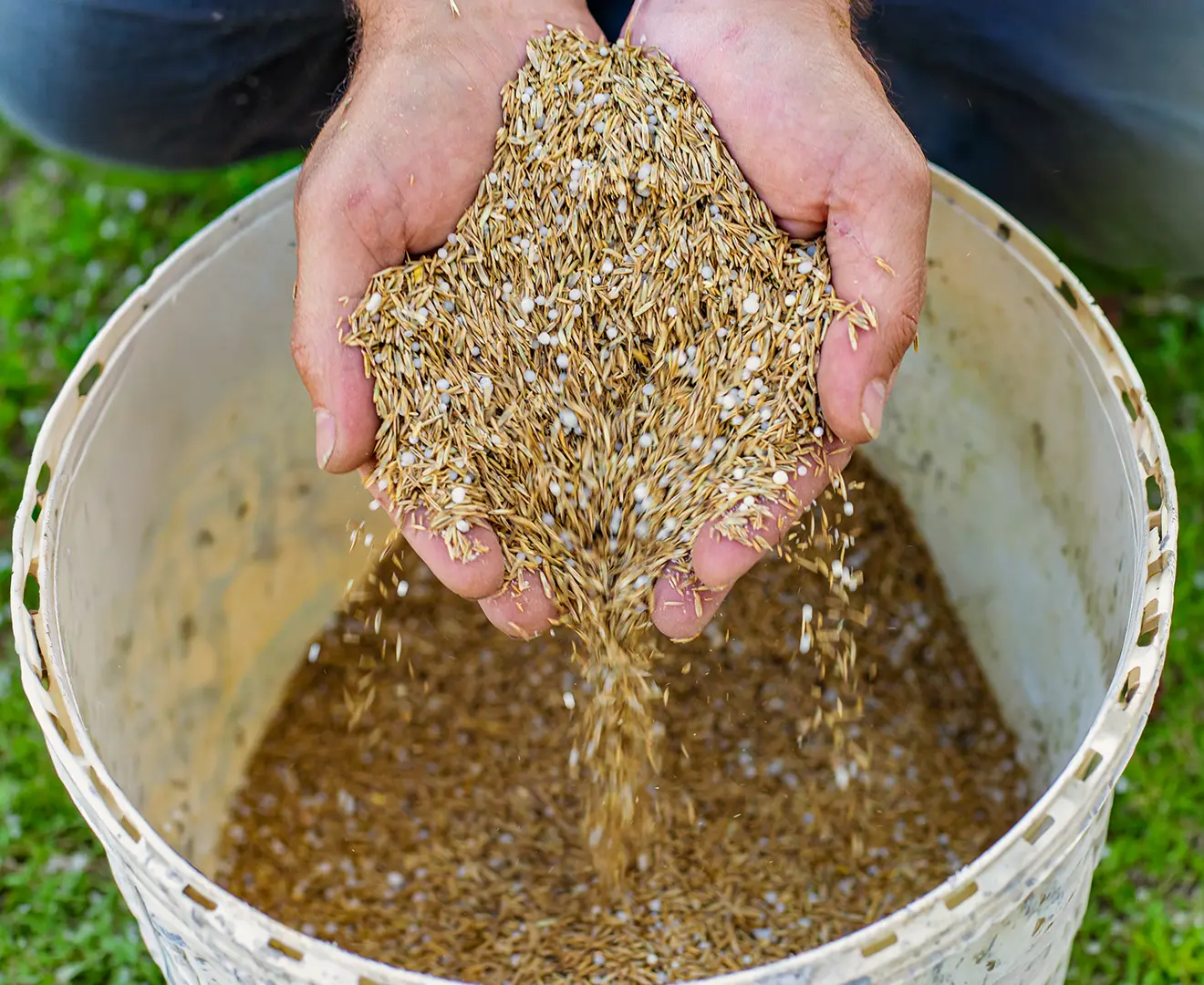 Hands scooping oats from a plastic bin at Valley Feed & Supply