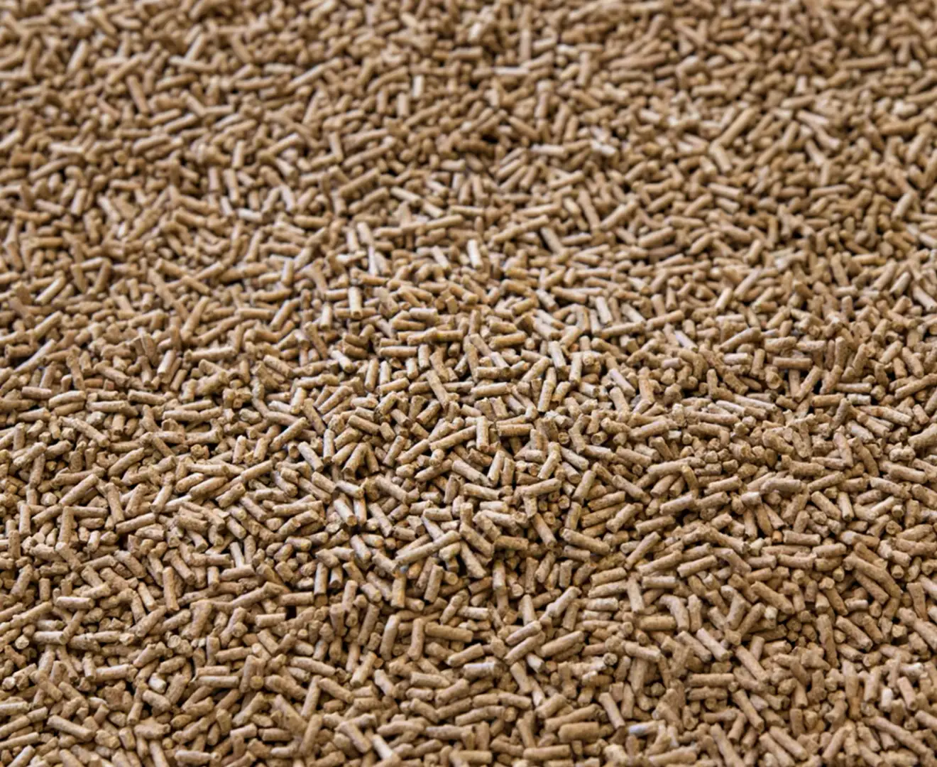 Close-up of cottonseed feed pellets used in livestock feed at Valley Feed & Supply