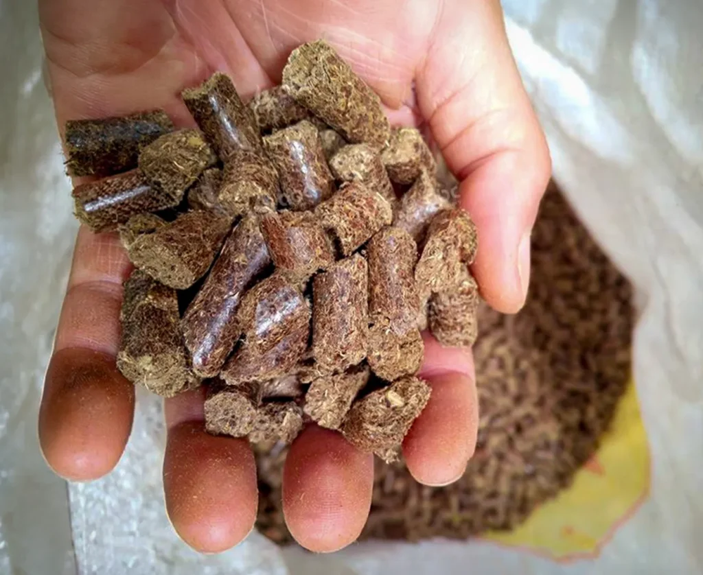 Hands holding animal feed pellets with cotton mixed in at Valley Feed & Supply